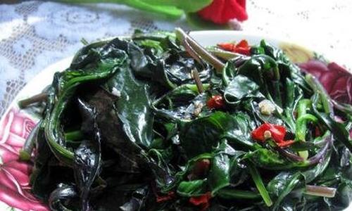 紫背菜的功效与作用及食用方法