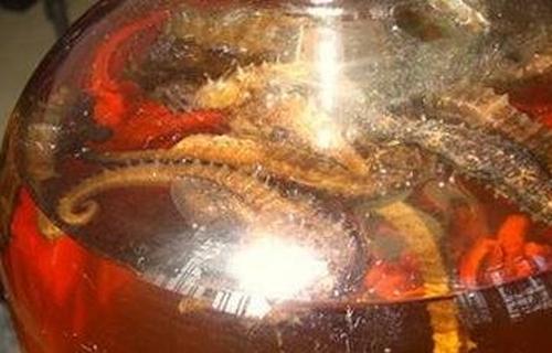 海马泡酒有什么功效 海马泡酒的药用价值