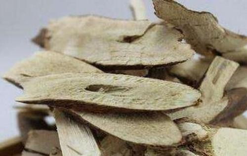 紫苏根的功效与作用 紫苏根的食用方法