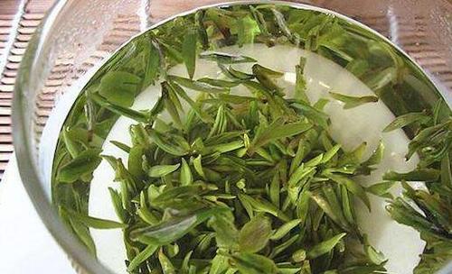 雨花茶是什么茶 雨花茶怎么泡