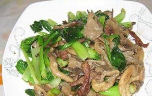 油菜蘑菇的功效和作用 油菜蘑菇的做法步骤教程