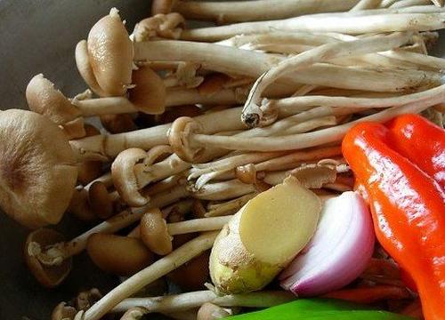 茶树菇的功效和作用 茶树菇的做法步骤教程