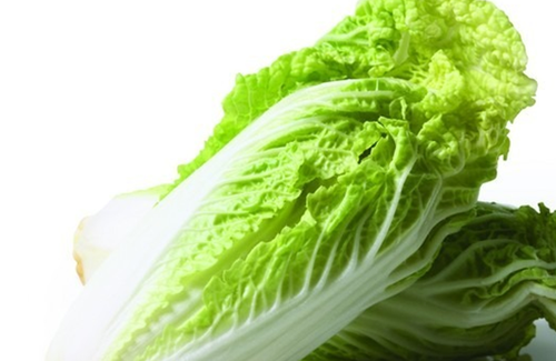 白菜的药用价值 白菜能治什么病