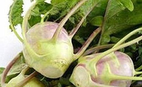 女人吃大头菜的好处与坏处
