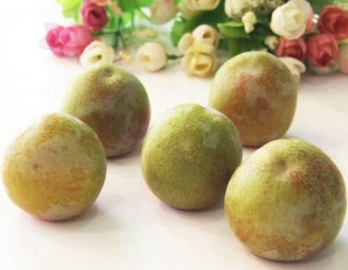 孕妇能吃李子吗