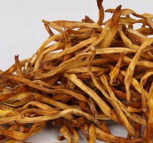 金针菜的作用与功效