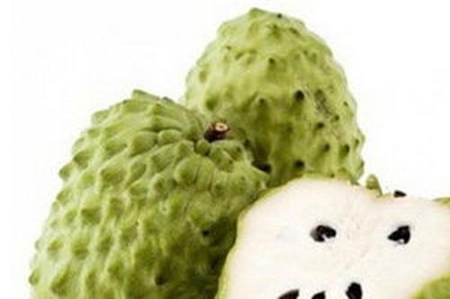诺丽果的价格