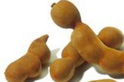 罗望子简介