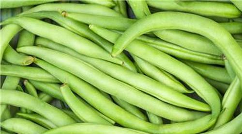 豆角炖茄子