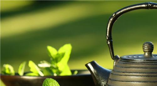 乌龙茶什么季节喝最好