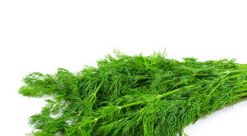 茴香馅儿怎么调好吃