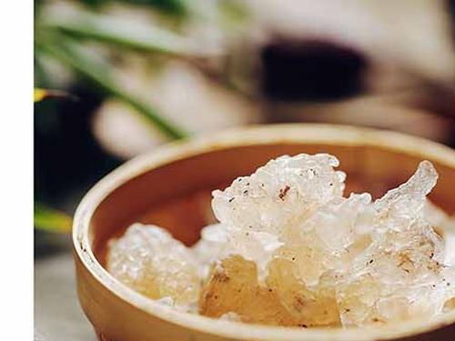雪燕是什么东西-1