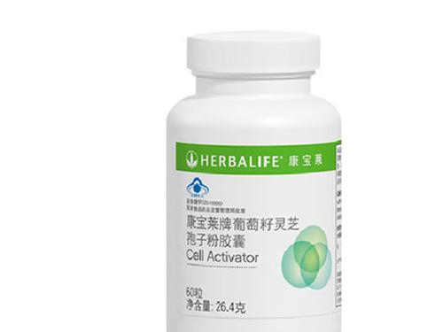 灵芝破壁孢子粉有效期-1
