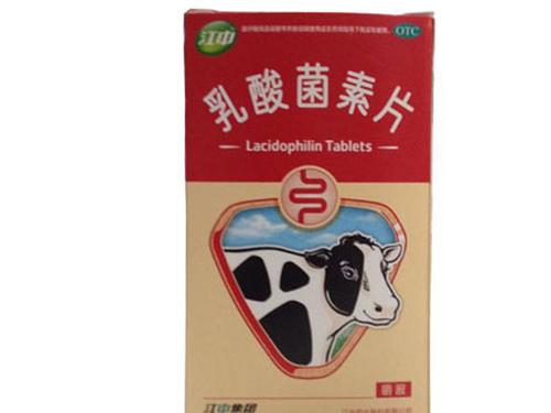 乳酸菌素片和益生菌有什么区别-1