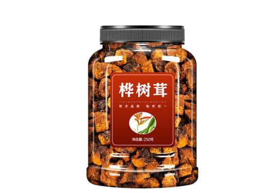 黑金桦树茸茶到底好不好-1