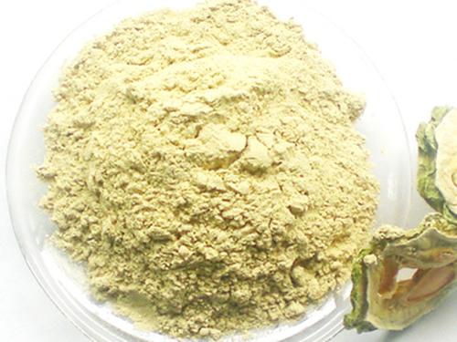 糖尿病人吃苦瓜籽粉-1