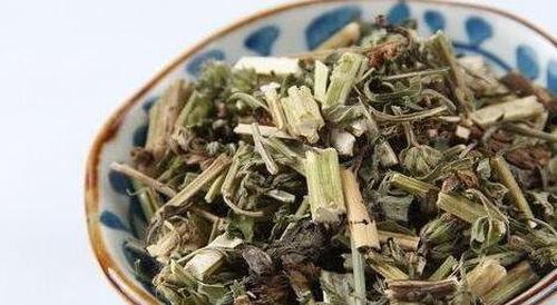 益母草的功效与作用及药用价值
