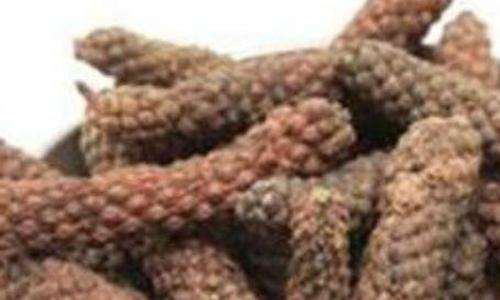 荜茇泡酒的功效与作用