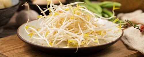 豆芽