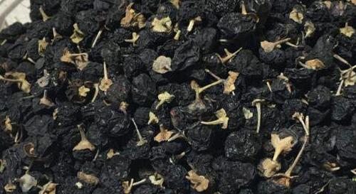 黑枸杞怎么吃最好 黑枸杞的正确吃法