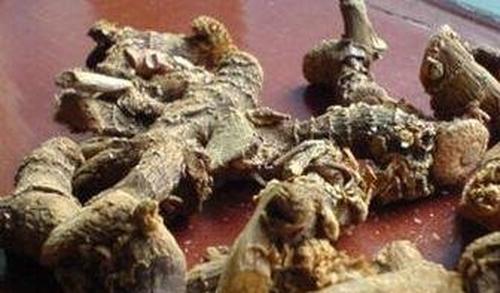 枯萝卜的功效与副作用