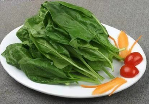 宝宝上火吃什么菜