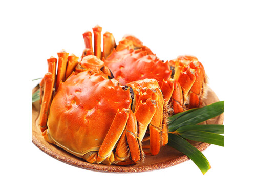 尿酸高千万别吃5种食物尿酸高的禁止吃的食物一览表