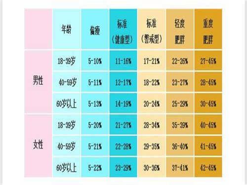 女性体脂对照表