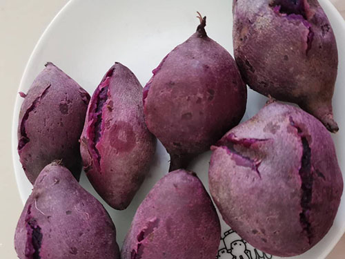 哪个季节吃红薯好 吃红薯应该注意什么