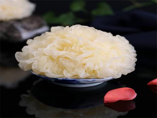 补肾阴的食物