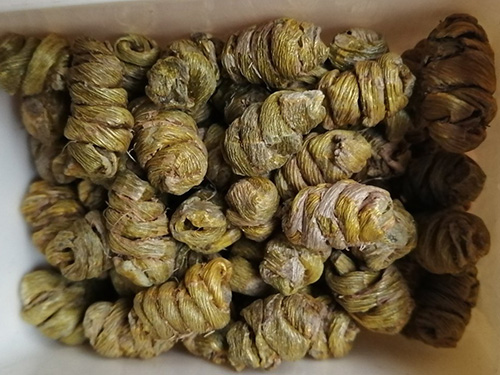 铁皮枫斗胶囊的作用与功效