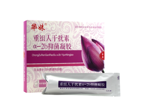 重组人干扰素a2b凝胶说明书 重组人干扰素a2b凝胶期间能打四价疫苗吗