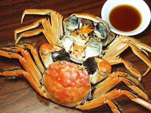哪些食物含锌???