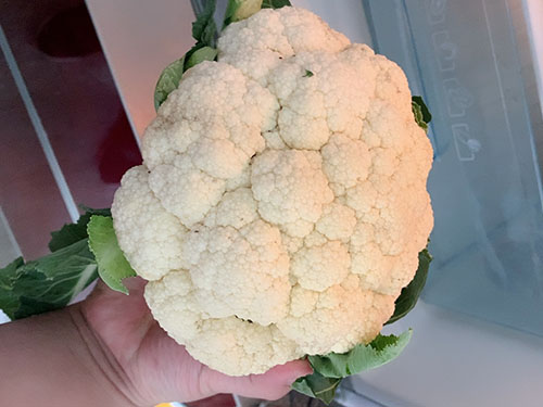 油菜花粉的作用