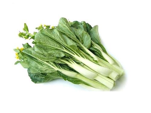 白菜苔的功效与作用 白菜苔怎么保存
