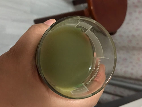 生榨芹菜汁能否天天喝