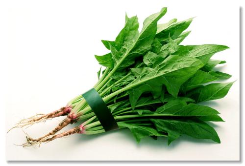 菠菜根的功效与用?€?