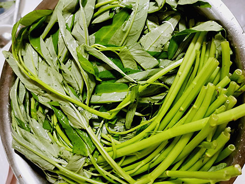 空心菜的家常做法 空心菜又叫什么菜