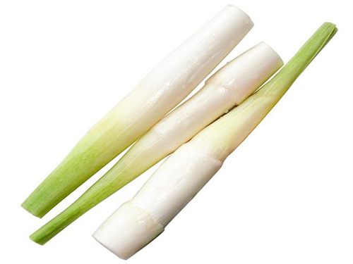 茭白的营养价值 茭白是什么植物g