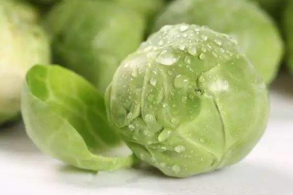 卷心菜功效与作用