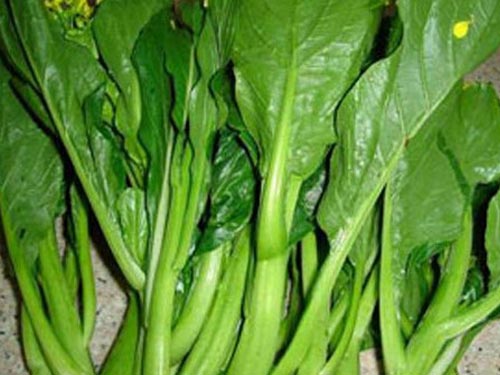 菜心的功效与作用
