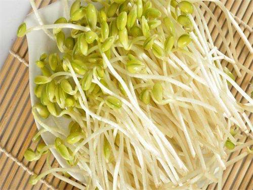 豆芽的功效与作用