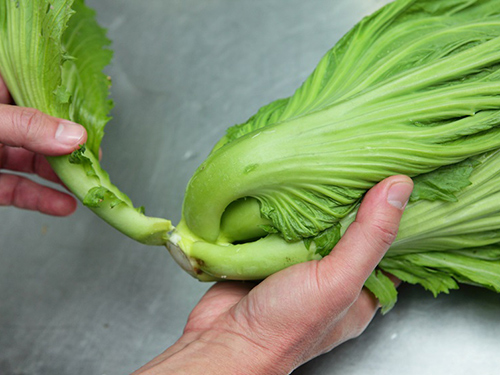 芥菜的功效与作用