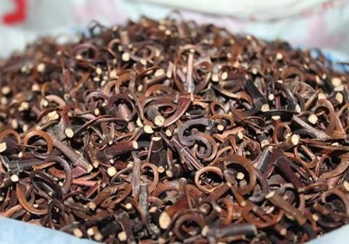 钩藤的功效与作用及禁???