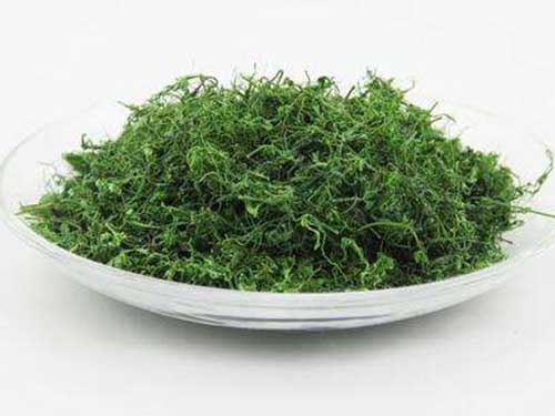 龙须茶