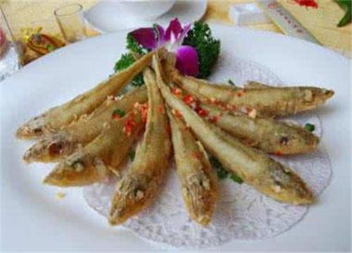 沙丁鱼价??