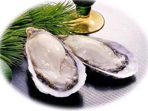 海蛎子的营养价值和禁忌