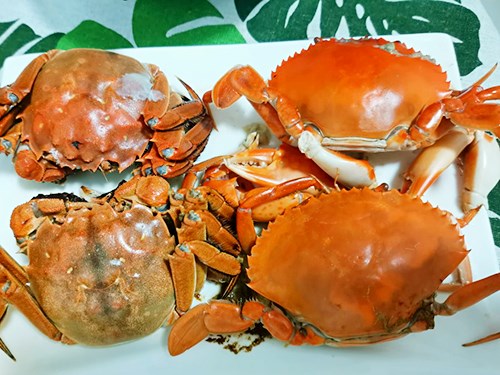 大闸蟹蒸多久最佳时间 大闸蟹放冷冻还能吃吗