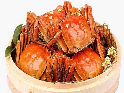 喂奶能吃螃蟹???