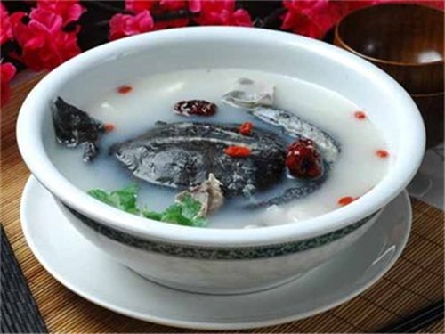 甲鱼的功效与作用及禁忌